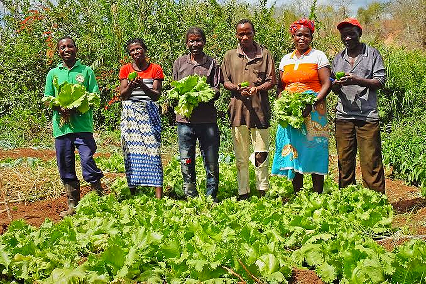 Comunidades